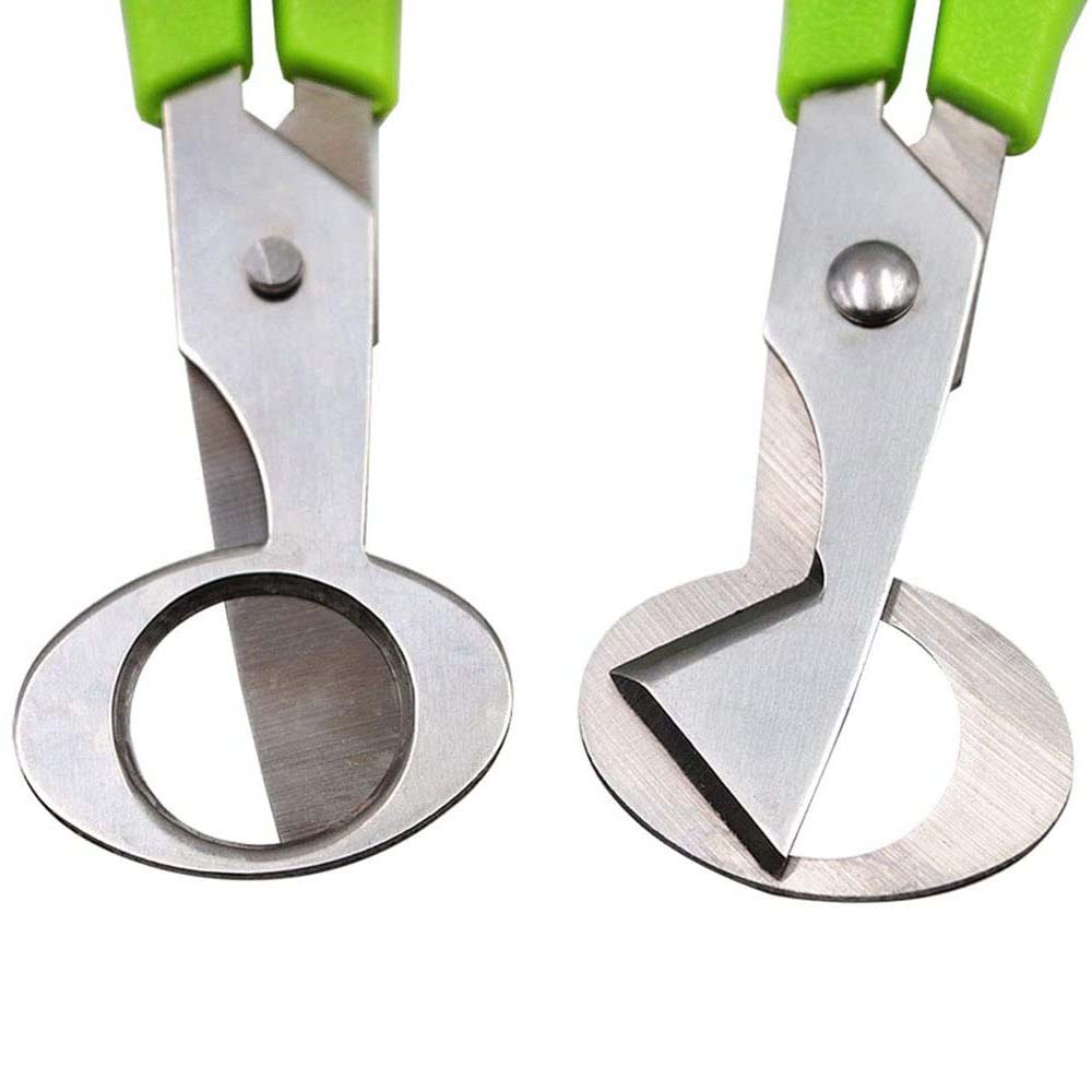 3Pcs Quail Egg Cutter Scissors - Kitchen Shears In Baking review and price
